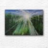 Picture of 'Forest Morning', Original Acrylic Painting / Print on Canvas, 3' x 2'
